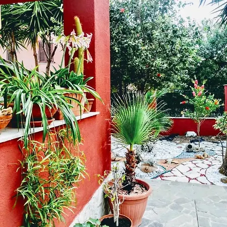 Isolotto 3* 伊索拉戴里费米尼