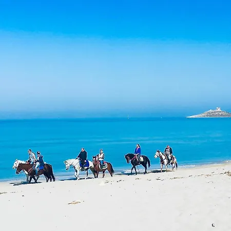 Isolotto 招待所 伊索拉戴里费米尼